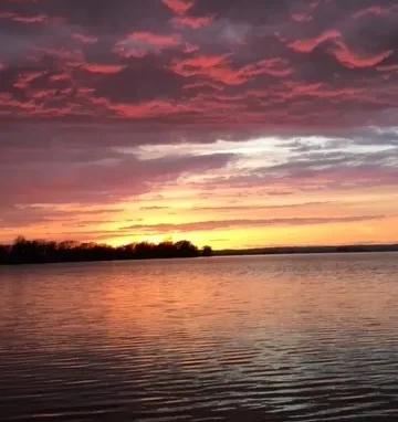 Willow Cove